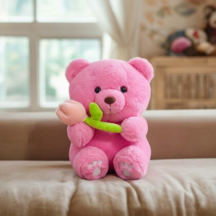 CUTE ROSE TEDDY