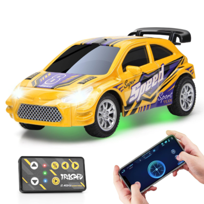 MINI RC CAR