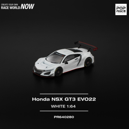 HONDA NSX GT3 EVO22 - PR640280