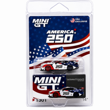 Ford Mustang GT3 America